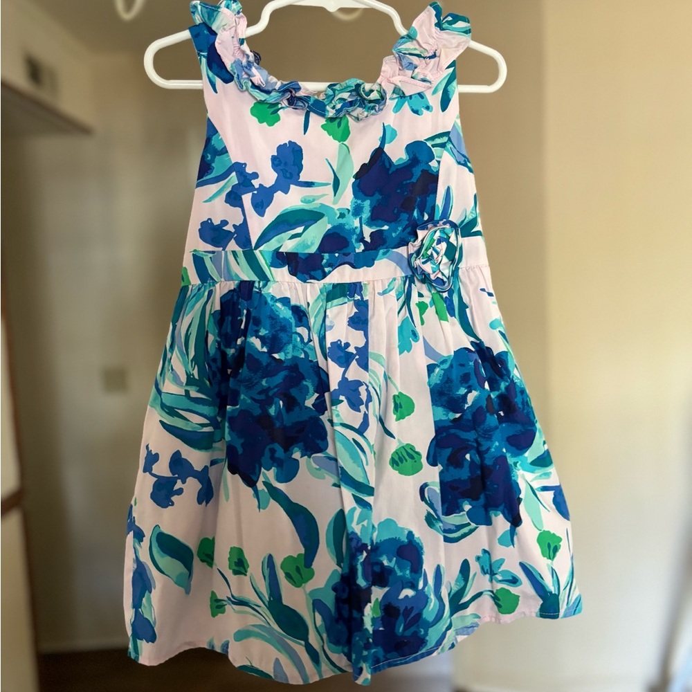 Lilly Pulitzer Pink and Blue Floral Dress